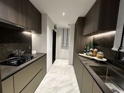Tembusu Grand (D15), Condominium #463339751
